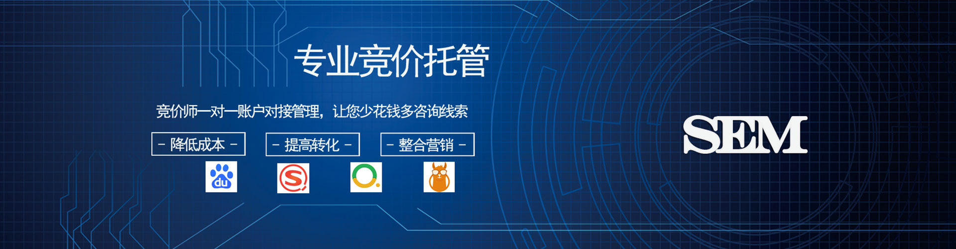 辰溪sem运营